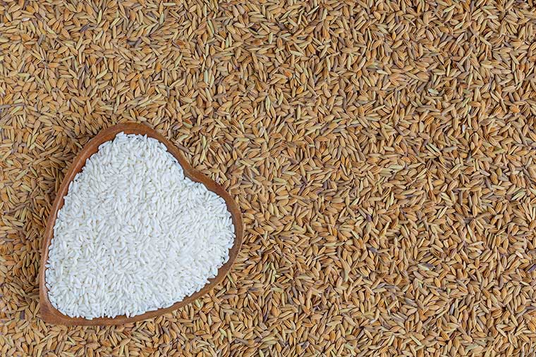 طریقه مصرف سبوس برنج برای پوست و مو