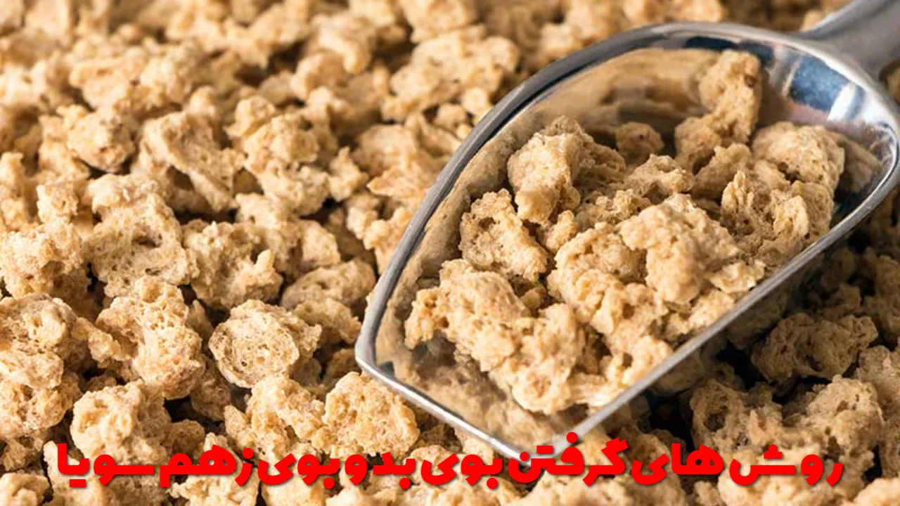 روش های گرفتن بوی بد و بوی زهم سویا