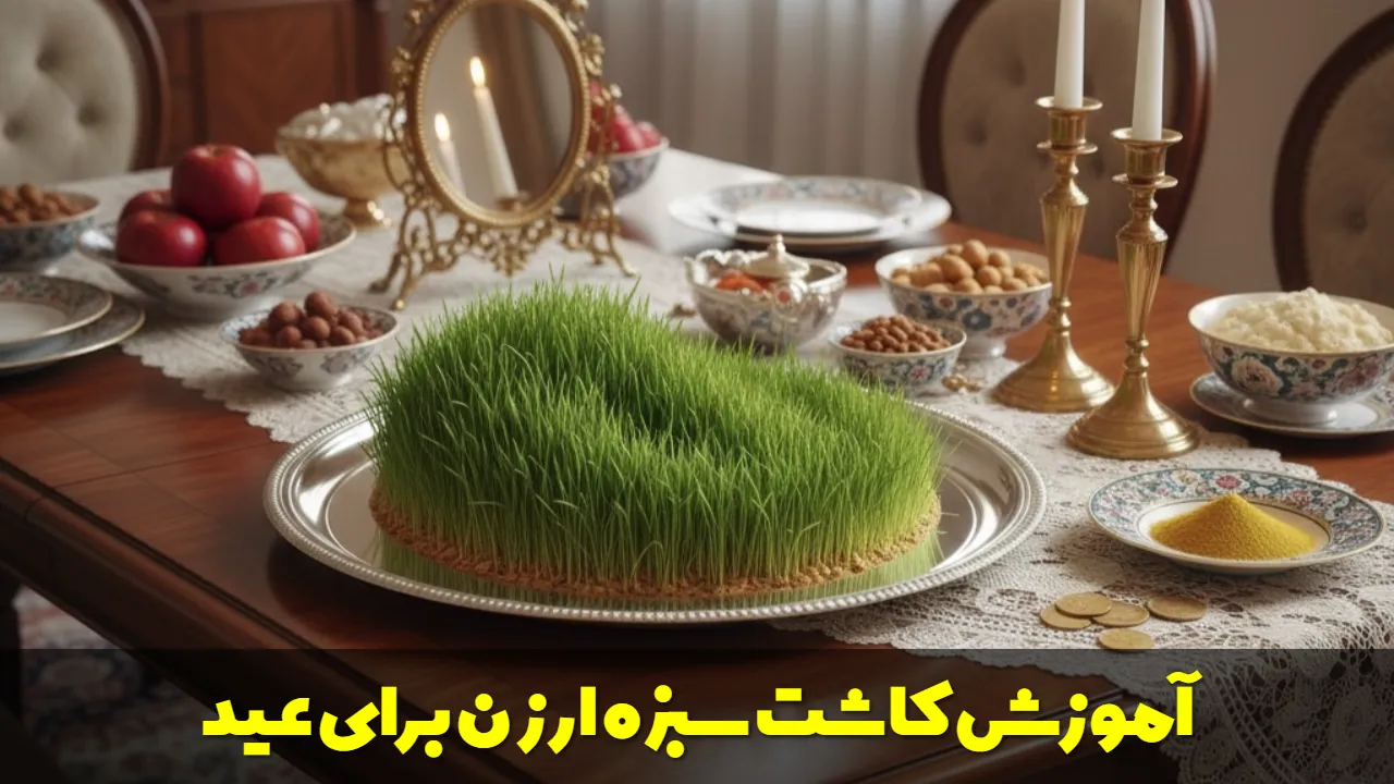 آموزش کاشت سبزه ارزن برای عید