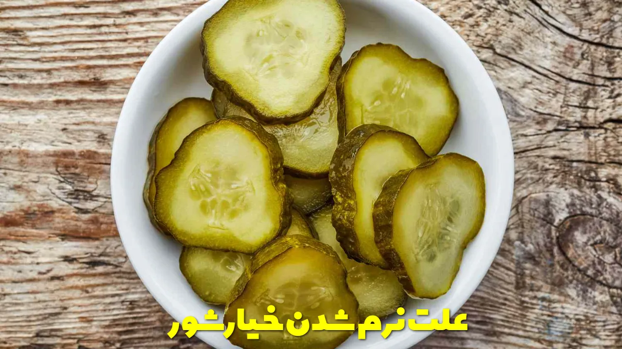 علت نرم شدن خیارشور