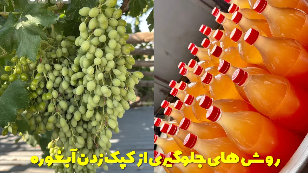 روش های جلوگیری از کپک زدن آبغوره