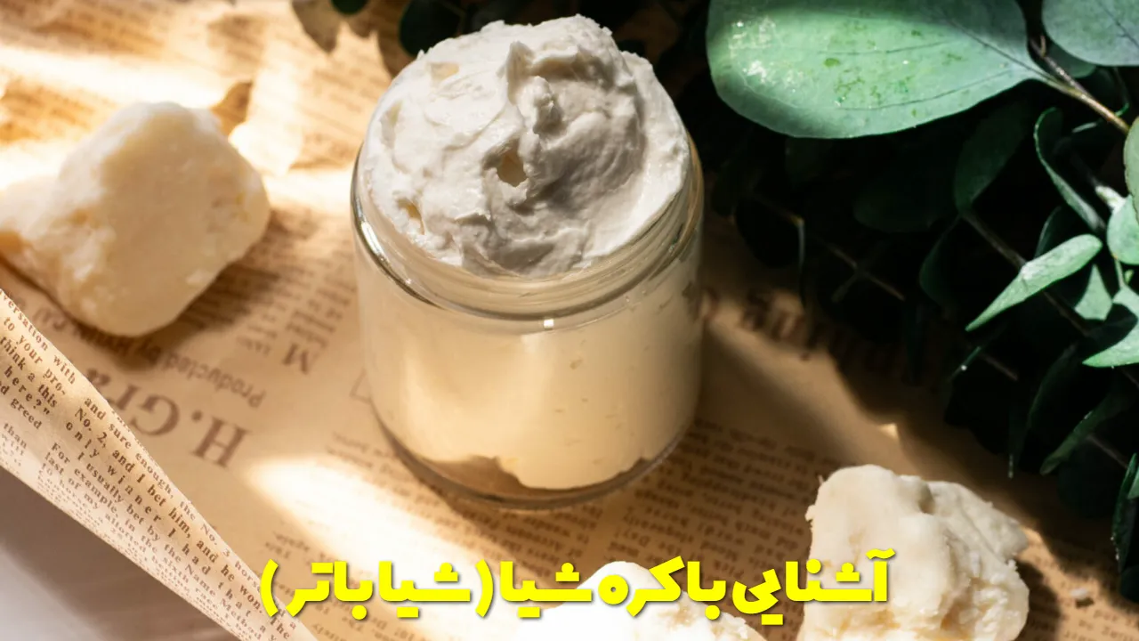 آشنایی با کره شیا (شیا باتر)