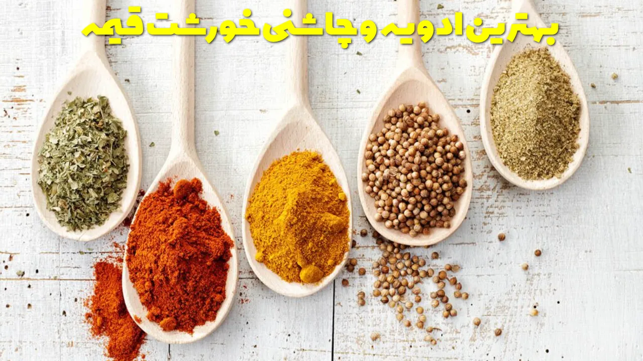 بهترین ادویه و چاشنی خورشت قیمه
