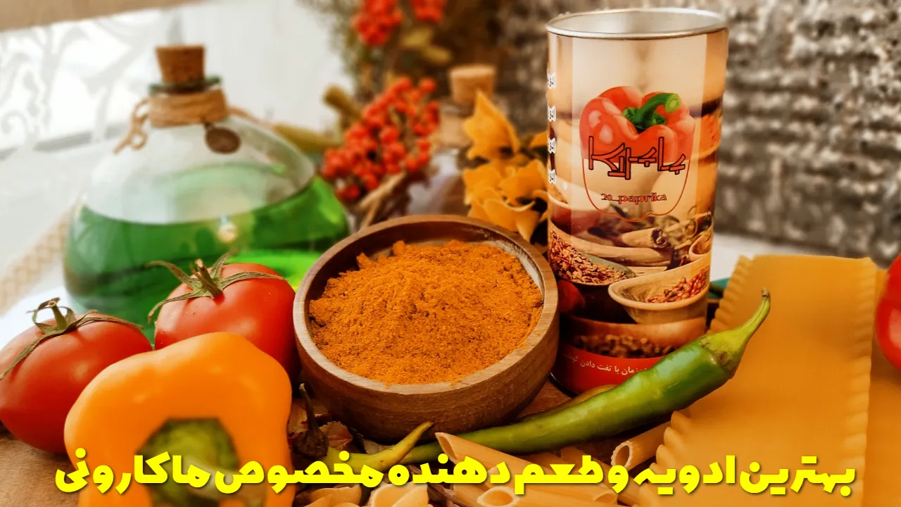 بهترین ادویه و طعم دهنده مخصوص ماکارونی