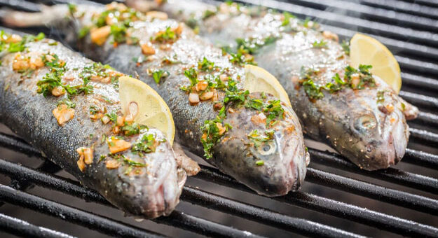 شام رژیمی سیر کننده