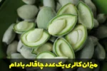 میزان کالری یک عدد چاقاله بادام