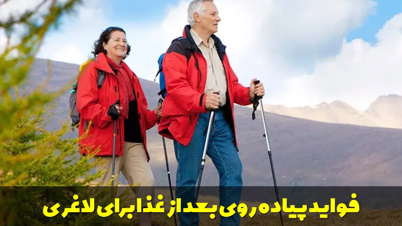 فواید پیاده روی بعد از غذا برای لاغری