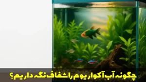 چگونه آب آکواریوم را شفاف نگه داریم؟