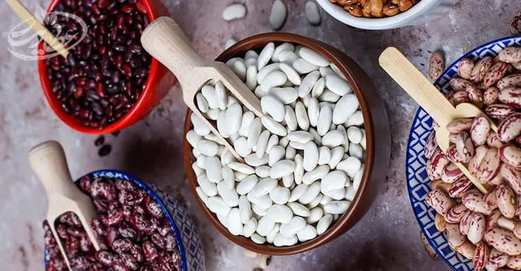 لیست کامل حبوبات عروس
