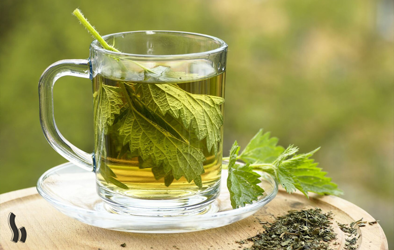 دمنوش گزنه برای چی خوبه؟