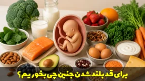 برای قد بلند شدن جنین چی بخوریم؟