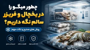 چطور میگو را در یخچال و فریزر سالم نگه داریم؟ روش های صحیح و نکات مهم