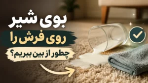بوی شیر روی فرش را چطور از بین ببریم؟