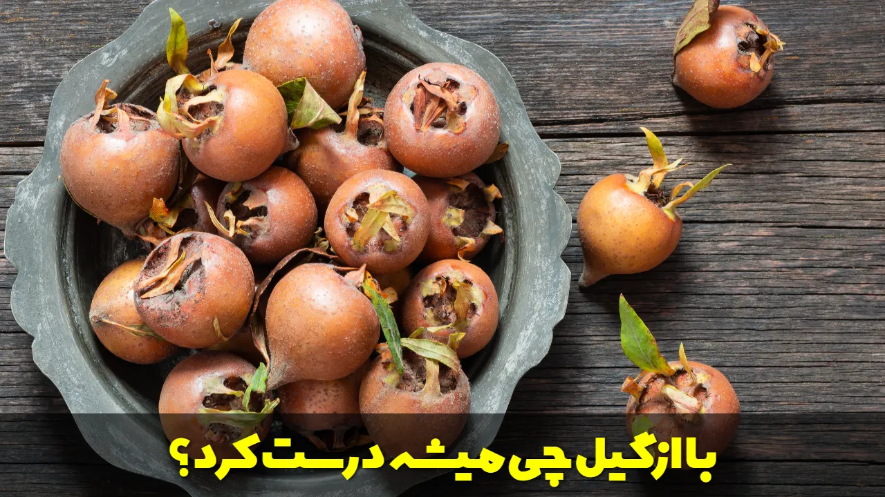 با ازگیل چی میشه درست کرد؟