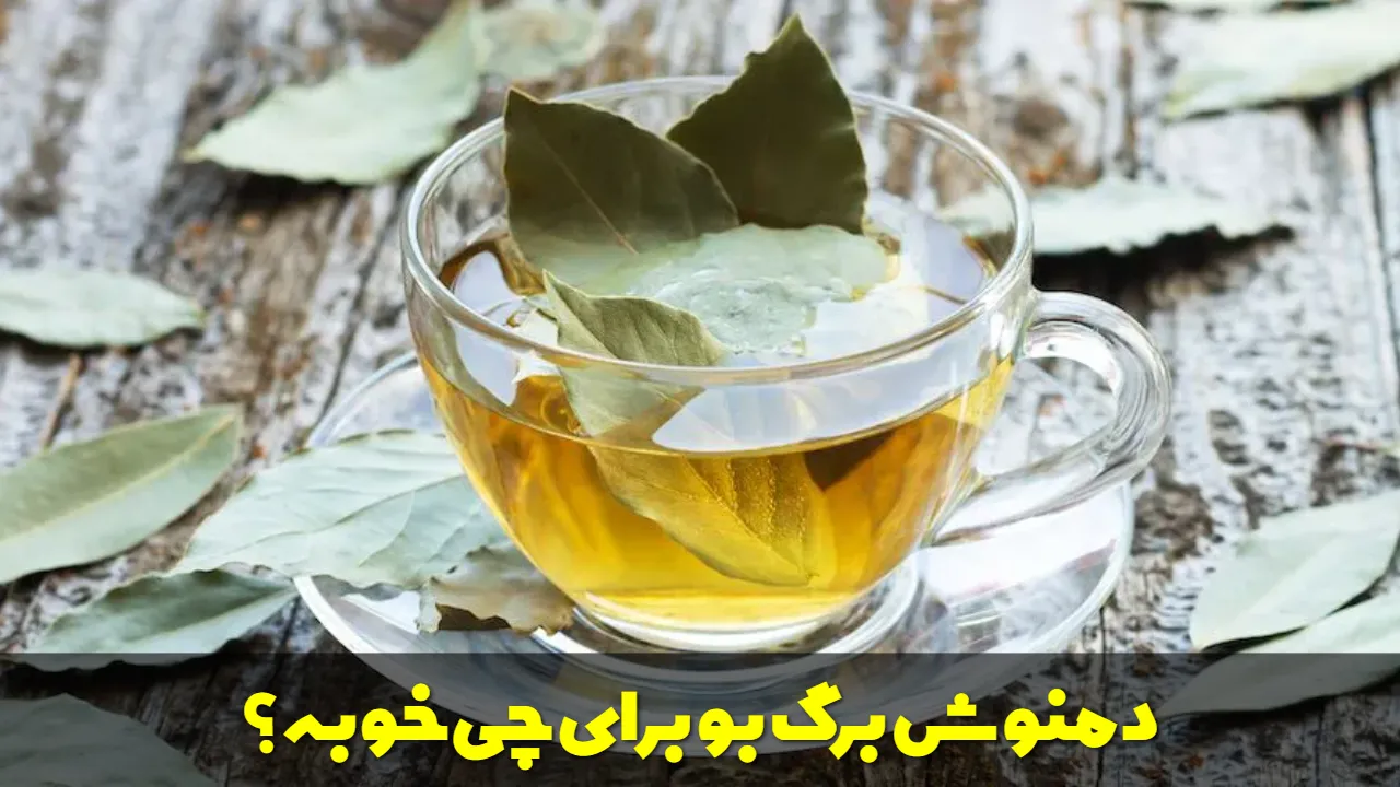 دمنوش برگ بو برای چی خوبه؟