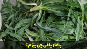 با غازیاغی چی بپزم؟