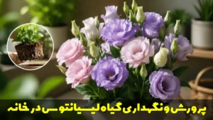 گیاه لیسیانتوس چیست؟ راهنمای کامل پرورش و نگهداری در خانه