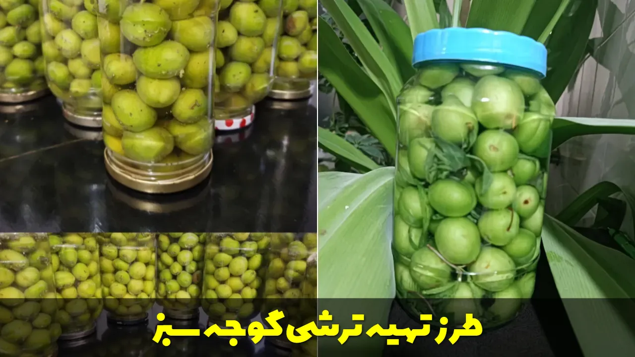 طرز تهیه ترشی گوجه سبز