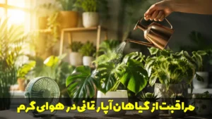 مراقبت از گیاهان آپارتمانی در هوای گرم | راهنمای کامل و نکات مهم