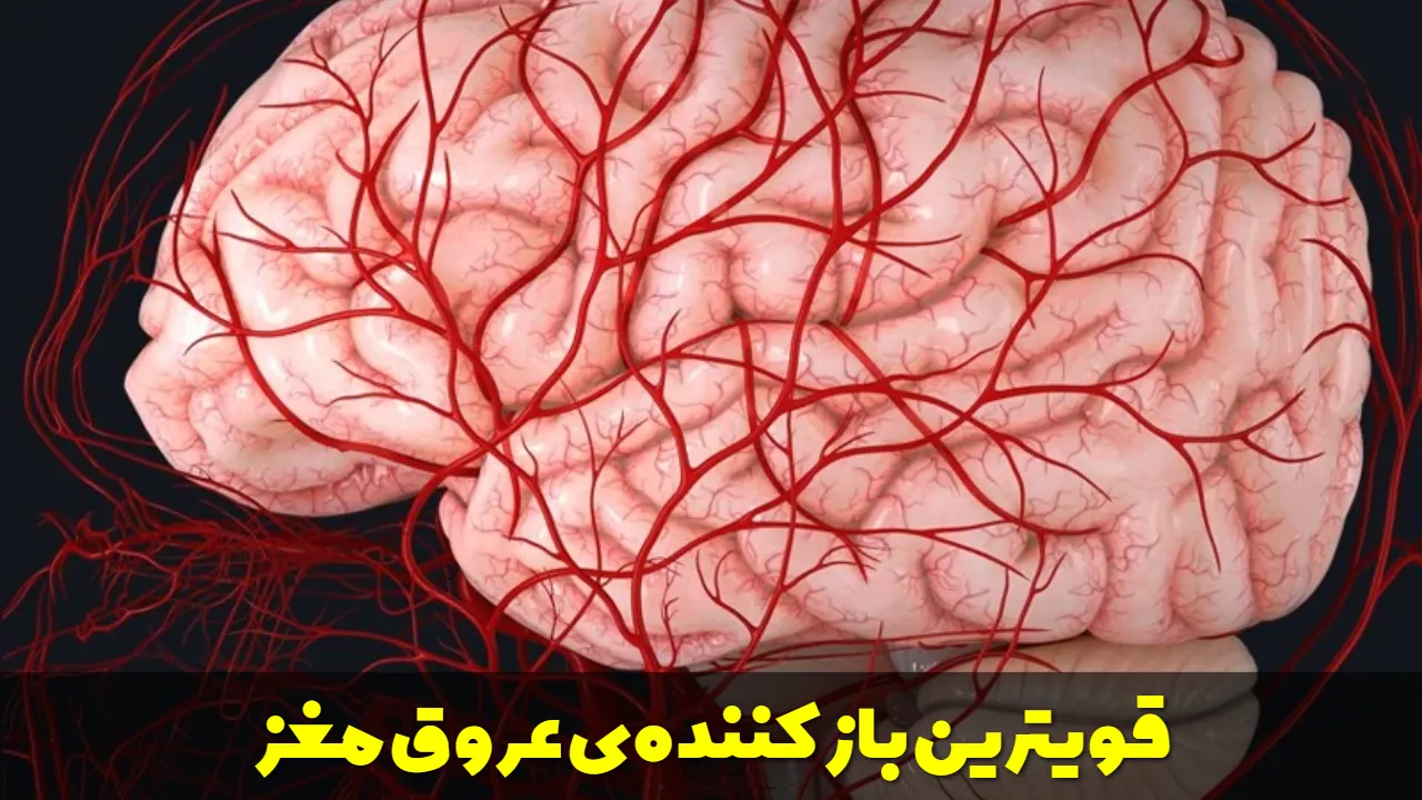 قویترین باز کننده ی عروق مغز