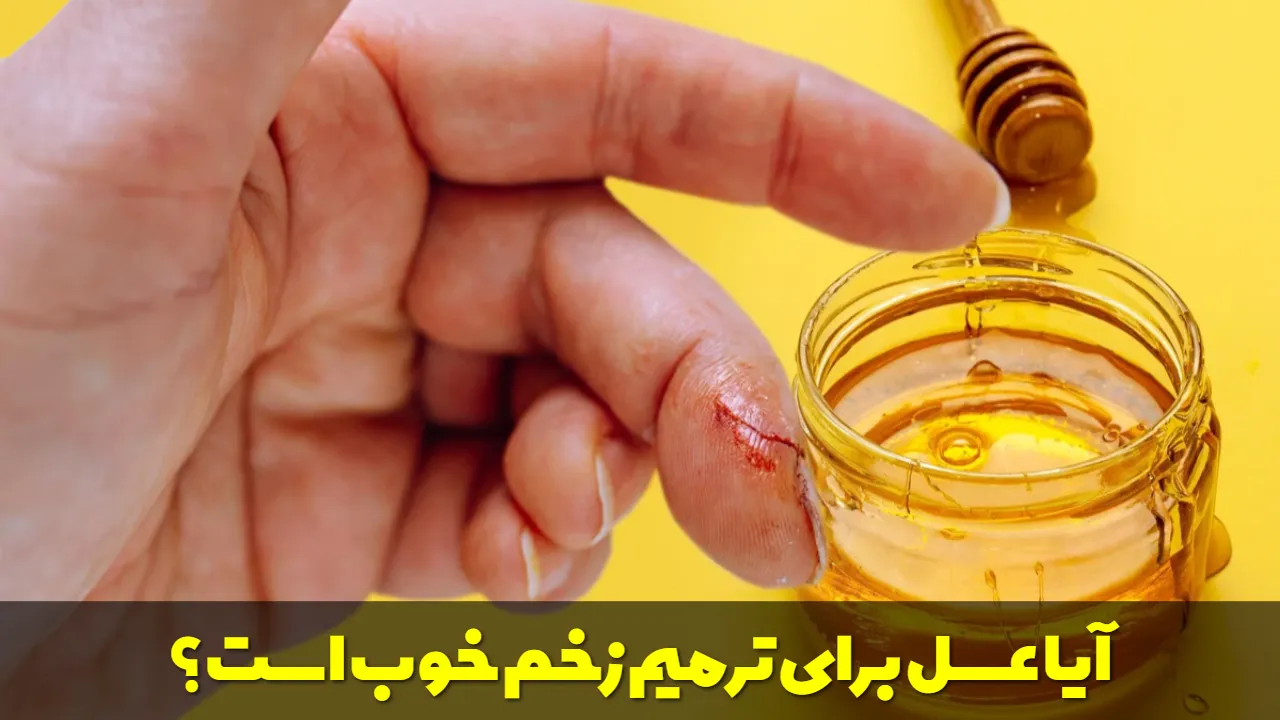 آیا عسل برای ترمیم زخم خوب است؟