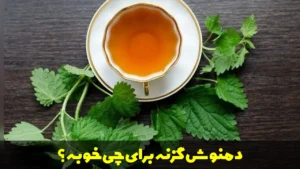 دمنوش گزنه برای چی خوبه؟
