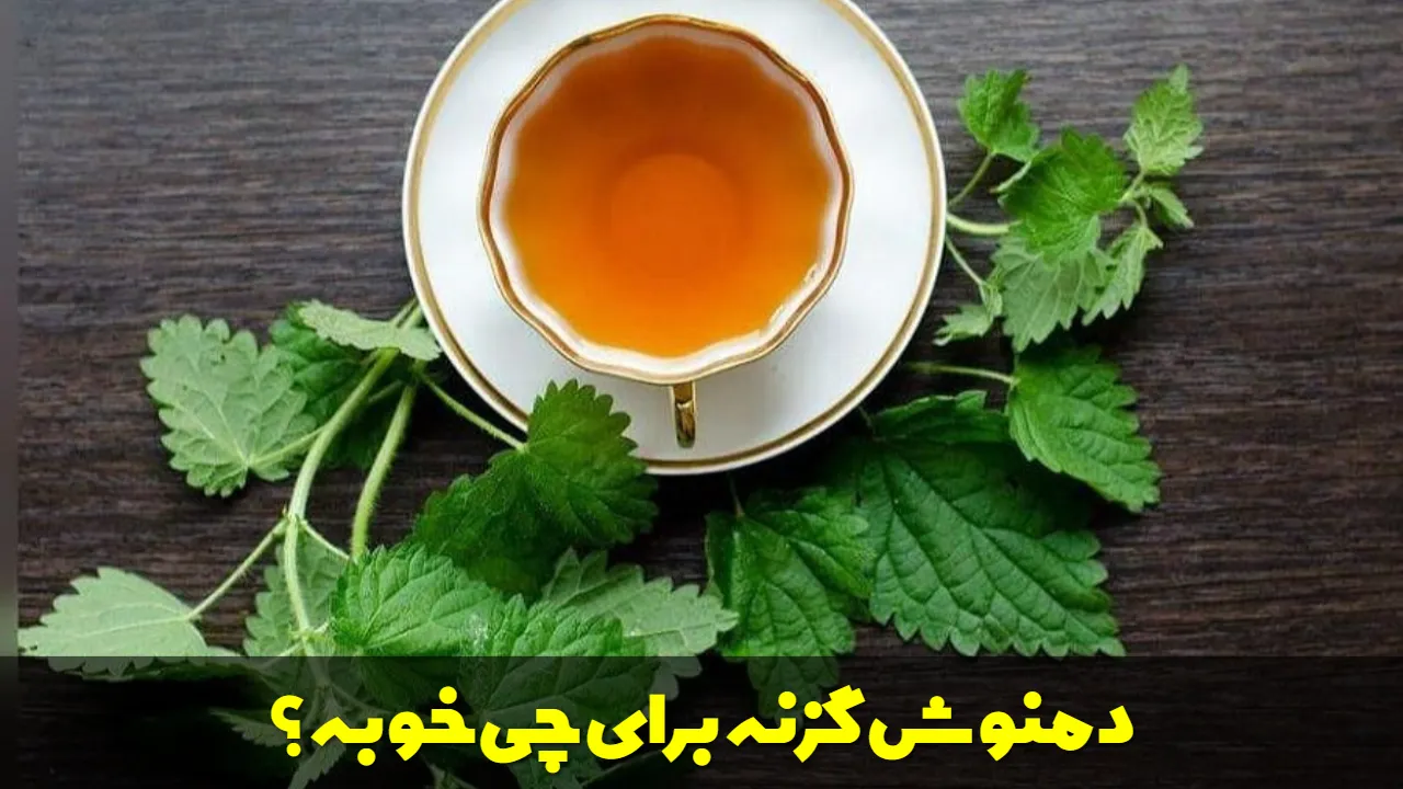 دمنوش گزنه برای چی خوبه؟