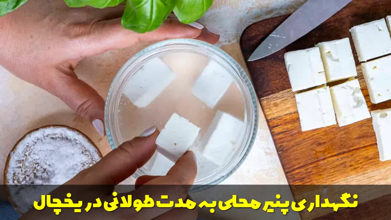 نگهداری پنیر محلی به مدت طولانی در یخچال