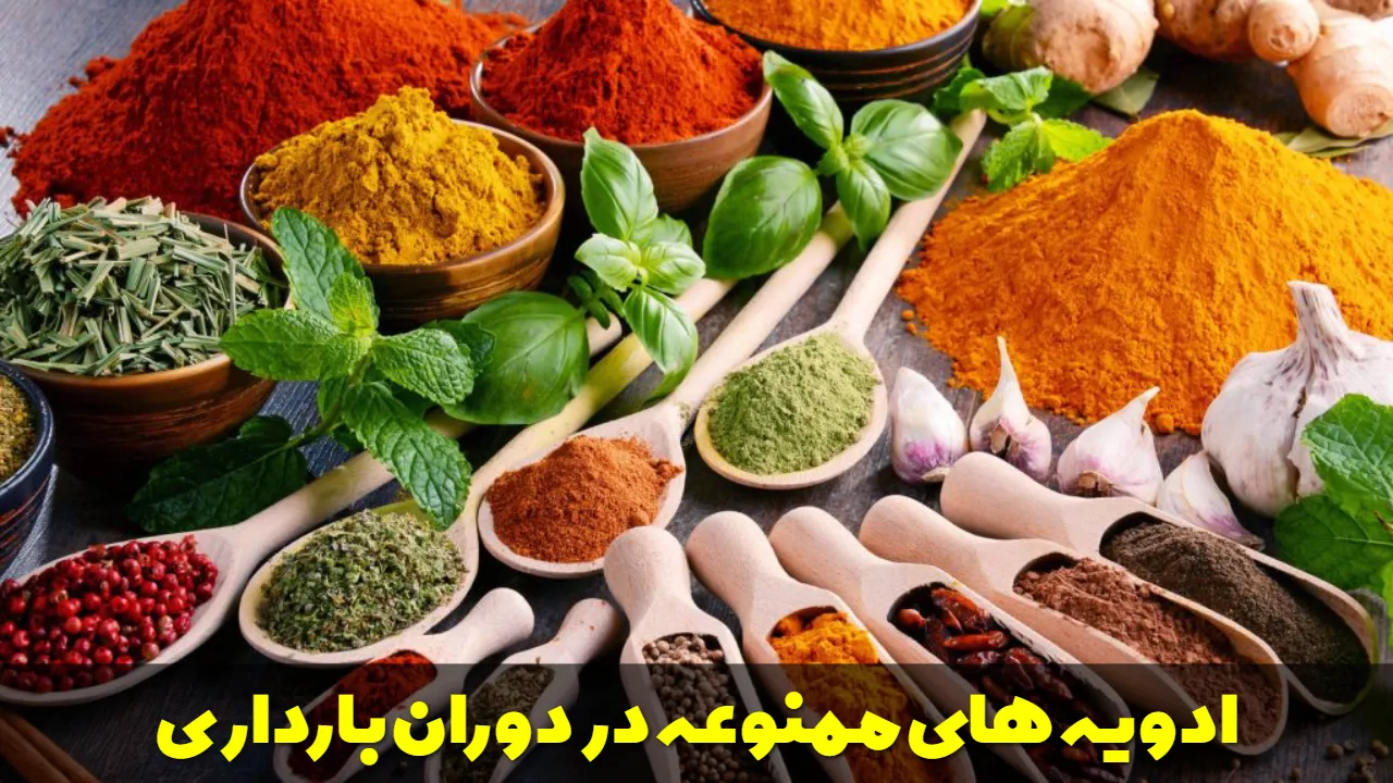 ادویه های ممنوعه در دوران بارداری