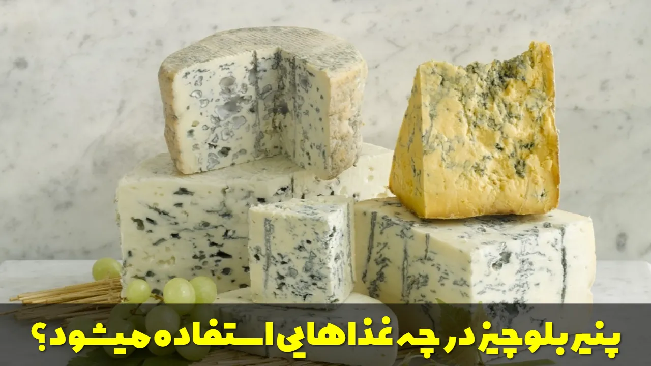 پنیر بلوچیز در چه غذاهایی استفاده میشود؟