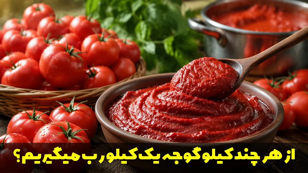 از هر چند کیلو گوجه یک کیلو رب میگیریم؟ راهنمای کامل تهیه رب خانگی