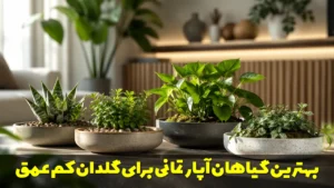 بهترین گیاهان آپارتمانی برای گلدان کم عمق | راهنمای کامل انتخاب و نگهداری
