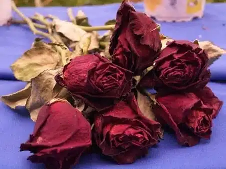 ۶ مرحله خشک کردن گل طبیعی با مایکروویو