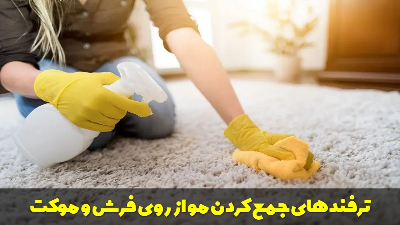 روش و ترفندهای جمع کردن مو از روی فرش و موکت