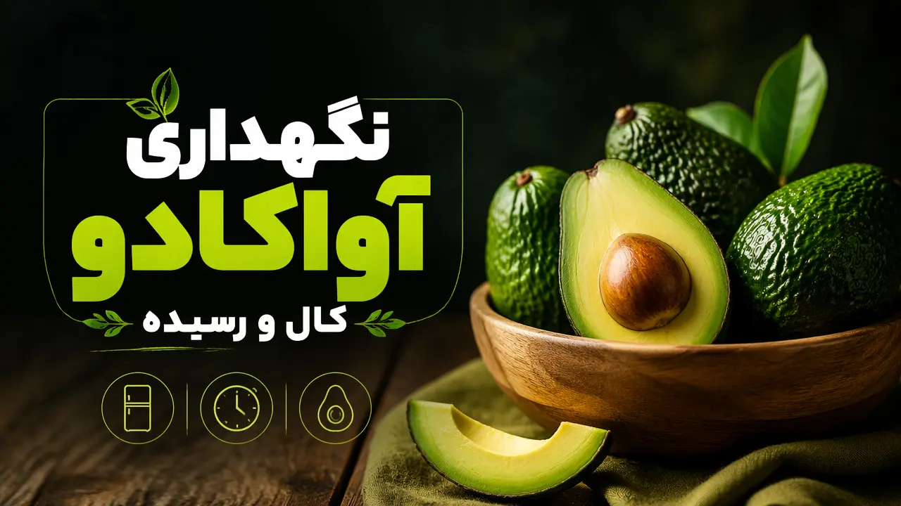 نگهداری آواکادو کال و رسیده