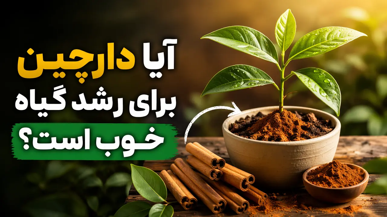 آیا دارچین برای رشد گیاه خوب است؟
