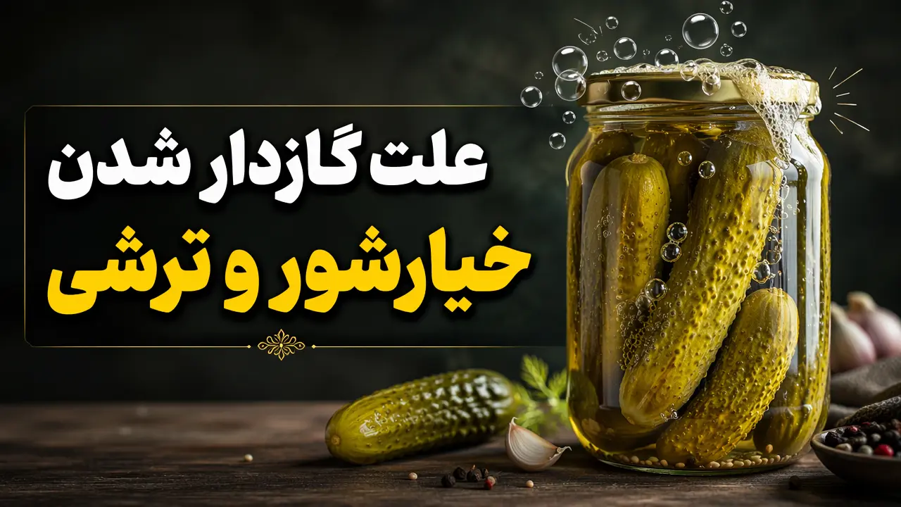 علت گازدار شدن خیارشور و ترشی