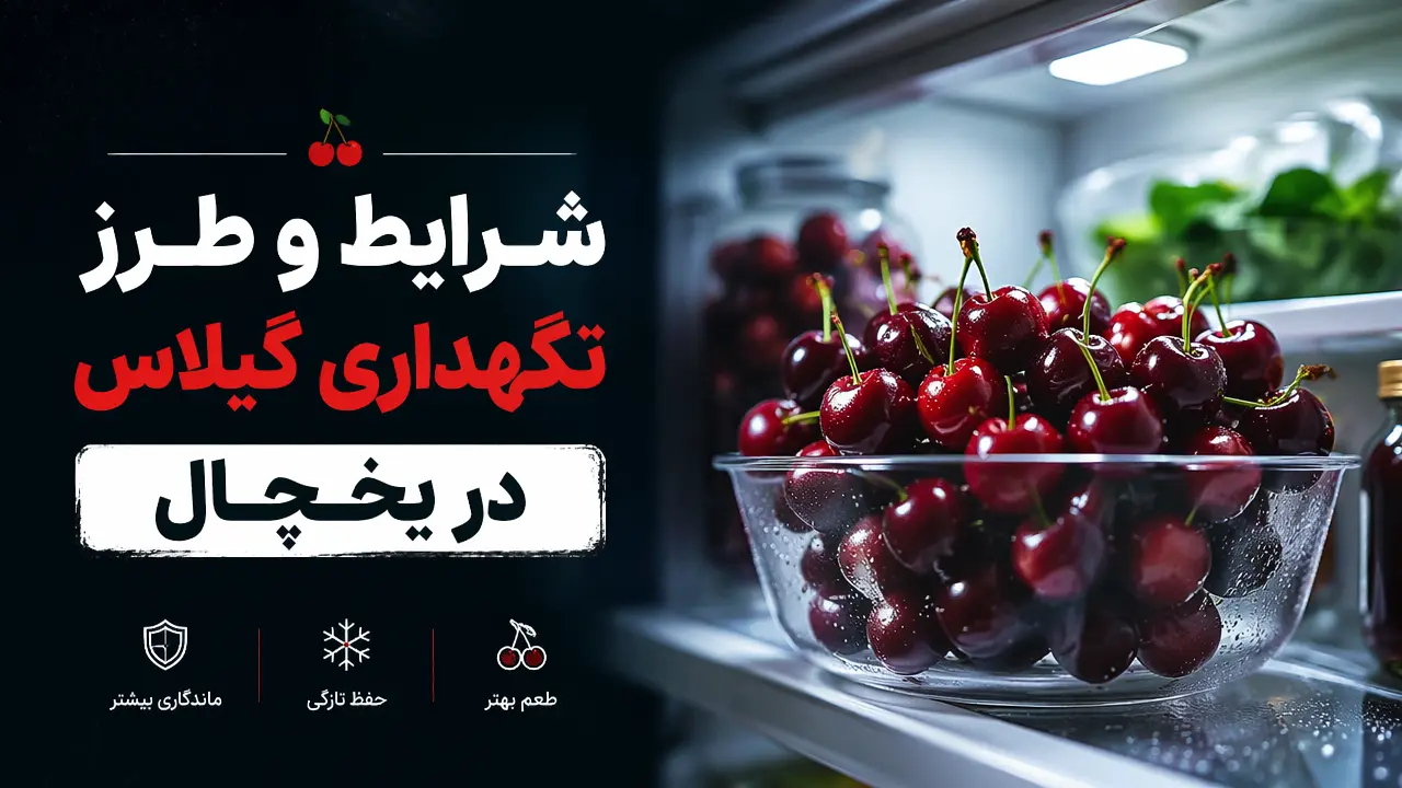 شرایط و طرز نگهداری گیلاس در یخچال