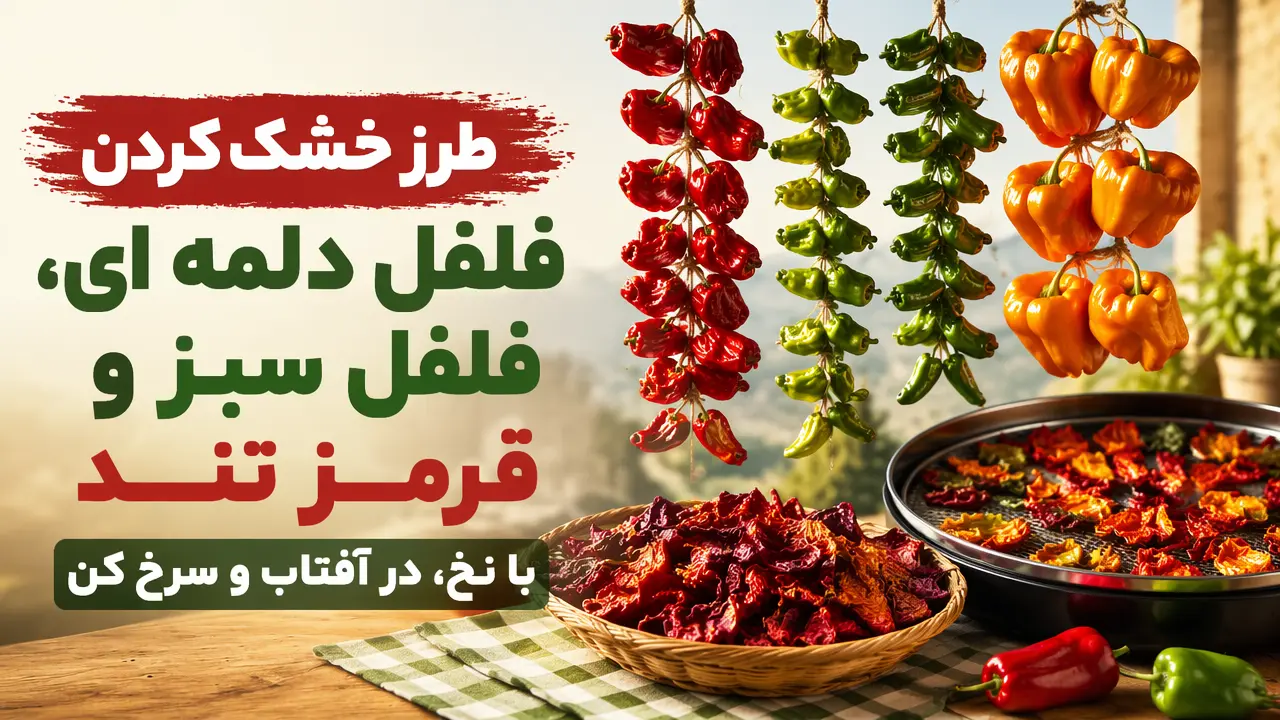 طرز خشک کردن فلفل دلمه ای، فلفل سبز و قرمز تند با نخ، در آفتاب و سرخ کن