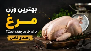بهترین وزن مرغ برای خرید چقدر است؟ راهنمای کامل
