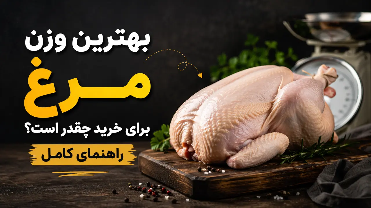 بهترین وزن مرغ برای خرید چقدر است؟ راهنمای کامل