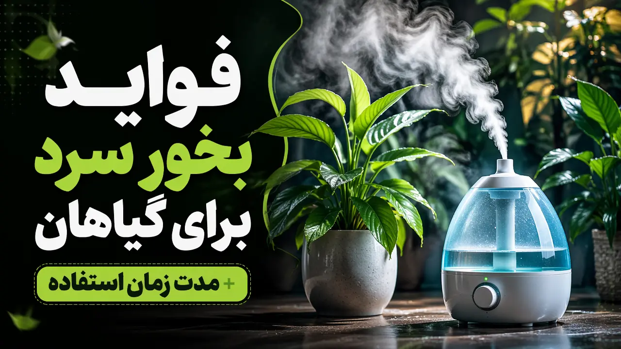 فواید بخور سرد برای گیاهان + مدت زمان استفاده