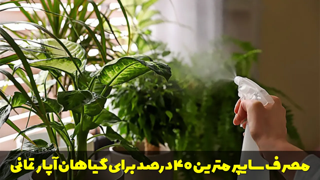 مصرف سایپرمترین 40 درصد برای گیاهان آپارتمانی