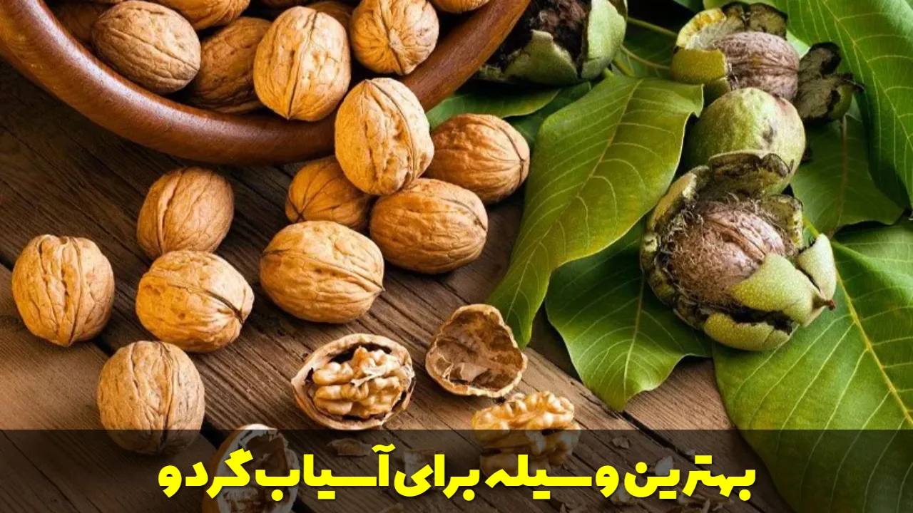 بهترین وسیله برای آسیاب گردو