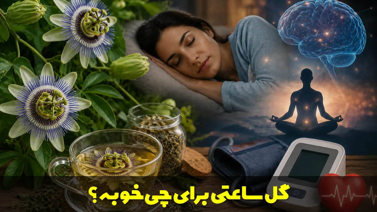 گل ساعتی برای چی خوبه؟