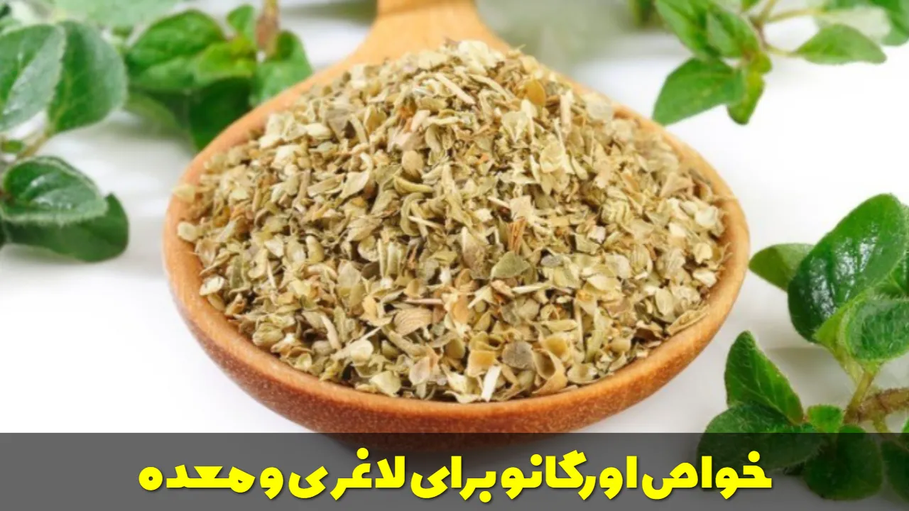 خواص اورگانو برای لاغری و معده