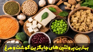 بهترین پروتئین های جایگزین گوشت و مرغ