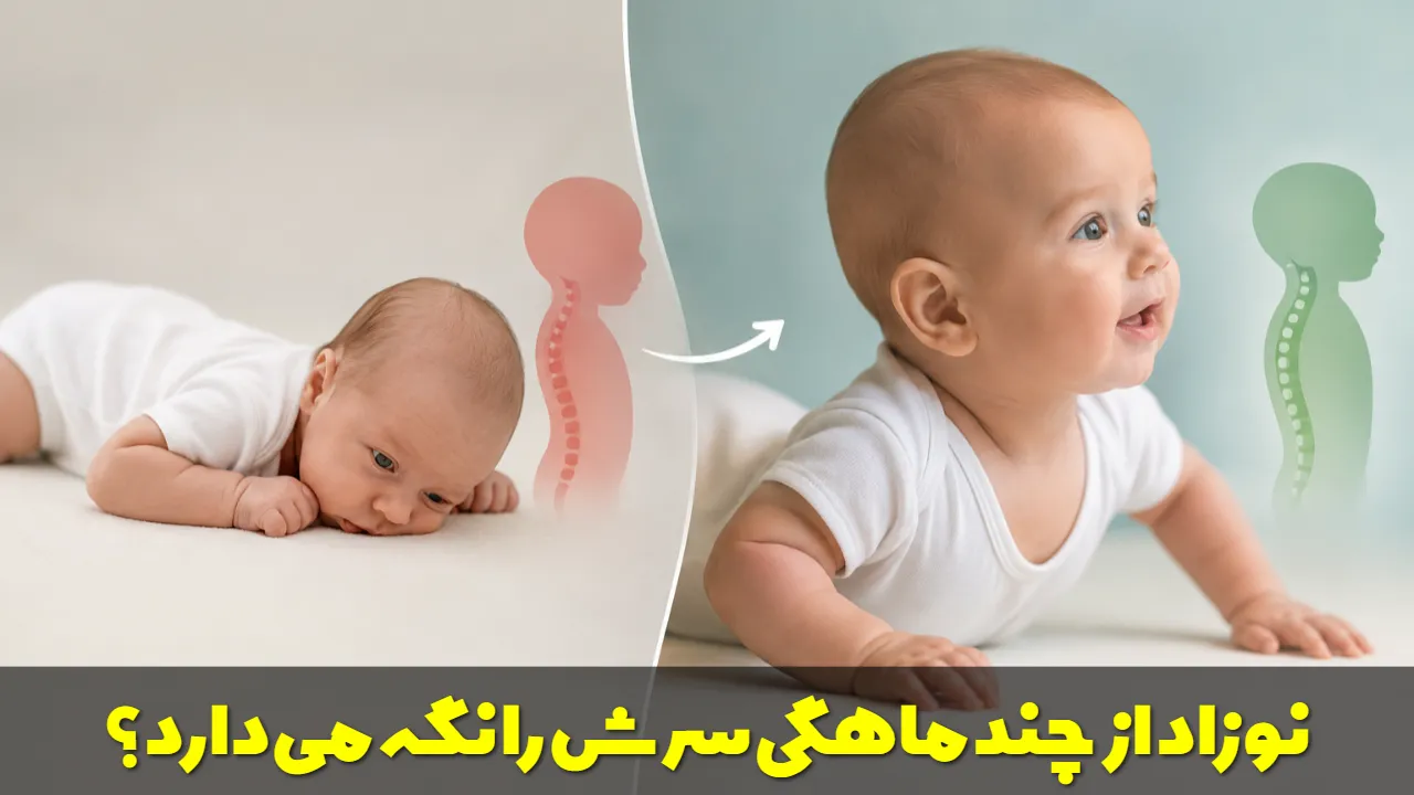نوزاد از چند ماهگی سرش را نگه می دارد؟