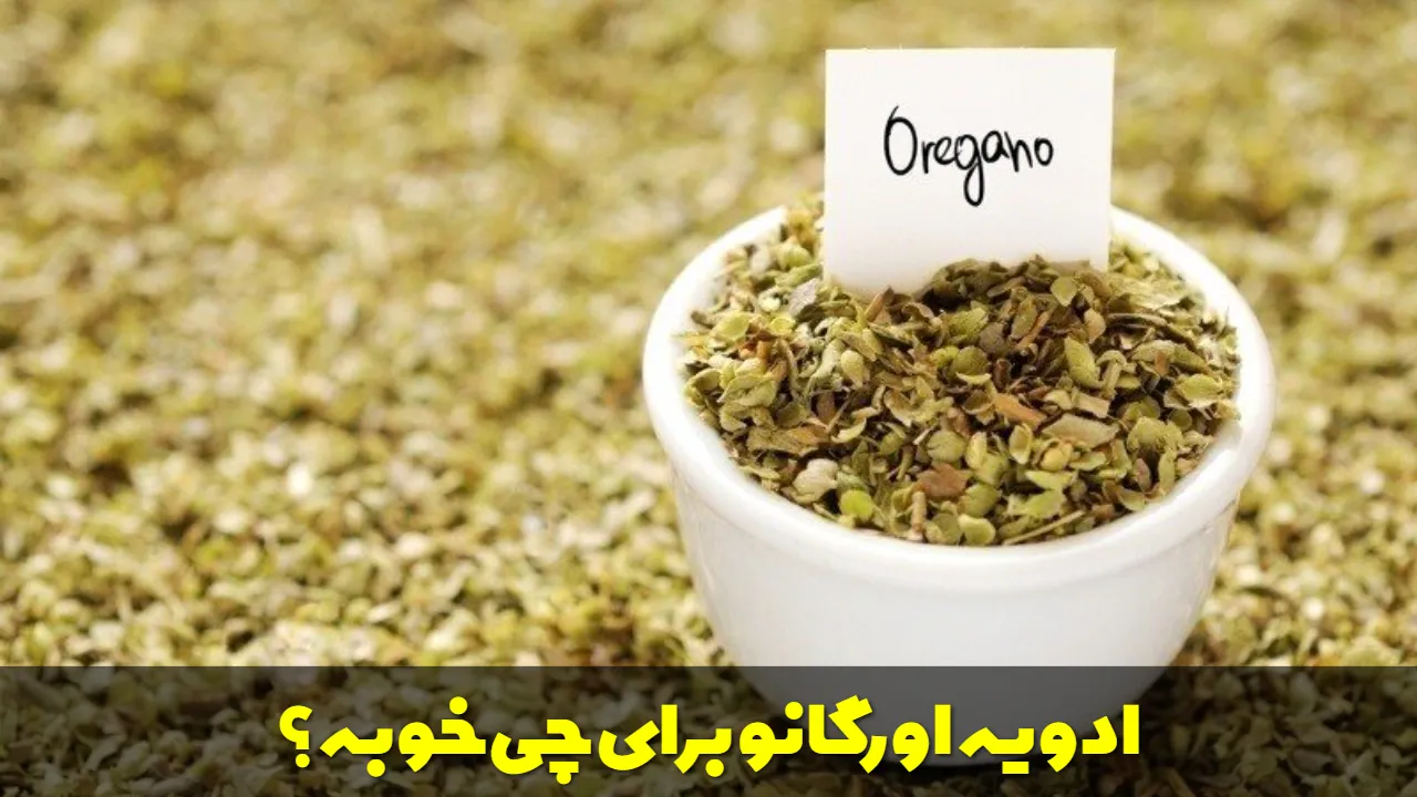 ادویه اورگانو برای چی خوبه؟