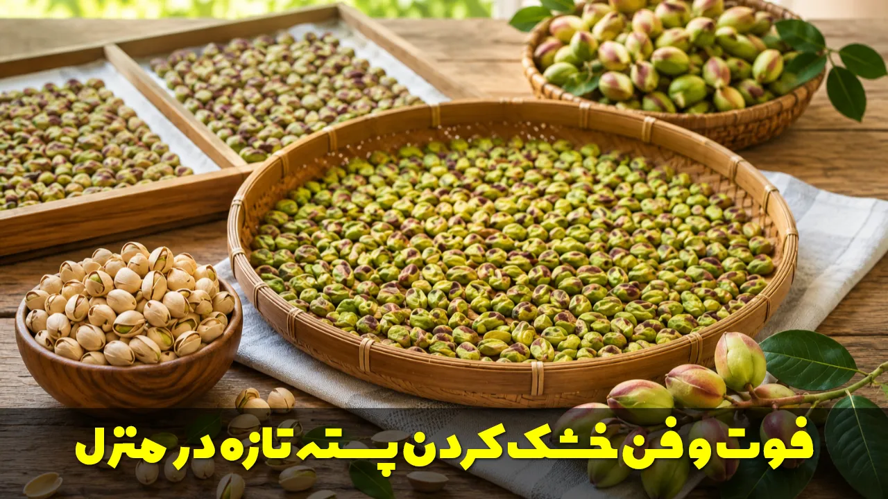 فوت و فن خشک کردن پسته تازه در منزل؛ آموزش اصولی برای ماندگاری بیشتر